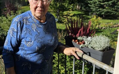 Frühjahrsbepflanzung an der Jakobikirche